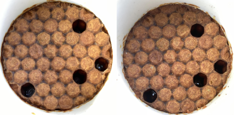Non-hygienic response in honeybee brood